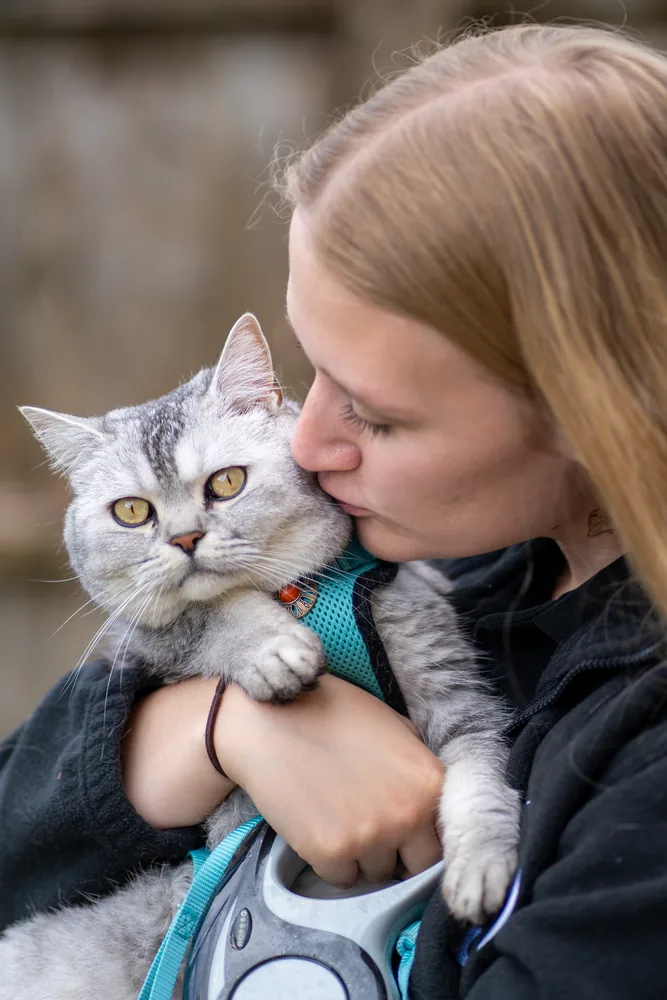 A woman holding and kissing her silver cat